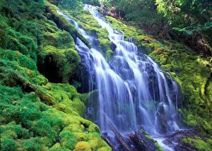 Images Dated 21st April 2005: Proxy Falls over moss carpeted rocks in Oregons Central Cascade Mountains