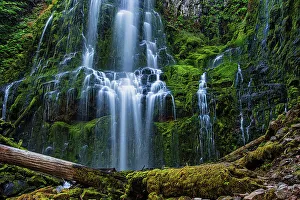Michael Schertz Prints: Proxy Falls in Oregon