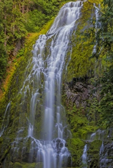 Images Dated 29th July 2016: Proxy Falls in the Three Sisters Wilderness, Oregon, USA