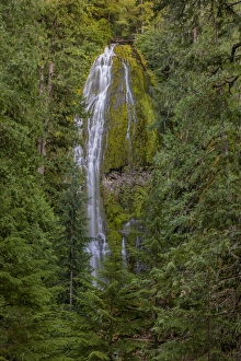 Images Dated 29th July 2016: Proxy Falls in the Three Sisters Wilderness, Oregon, USA