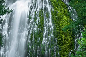 Proxy Falls Prints: Proxy Falls, Three Sisters Wilderness, Oregon, USA