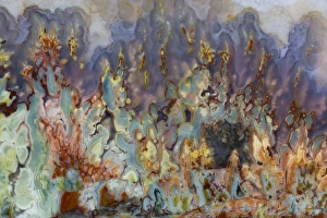 Natural Pattern Prints: Prudent Man Agate, origin Idaho