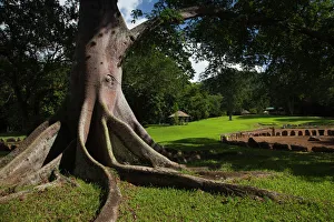 West Indies Prints: Puerto Rico, North Coast, Karst Country, Utuado, Parque Ceremonial Indigena de Caguana