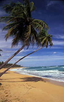Puerto Rico. Pinones Beach