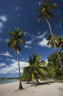 Images Dated 14th December 2009: Puerto Rico, West Coast, Boqueron, Balneario Boqueron beach