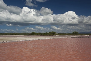 Images Dated 14th December 2009: Puerto Rico, West Coast, Cabo Rojo, Corozo salt pond