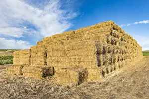 Palouse Prints: Pullman, Washington State, USA. Stack of hay bales in the Palouse hills