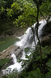 Educate Prints: Puma Waterfall in the Veragua Rainforest Research and Adventure Park near Limon