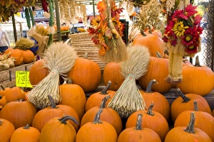 Squash Prints: Pumpkins and autum display at the By Market in Ottawa, Ontario, Canada