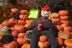 Squash Prints: Pumpkins and scarecrow at a market in Montreal, Quebec, Canada