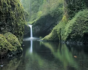 Images Dated 10th May 2004: Punch Bowl Falls, Eagle Creek, Columbia River Gorge, Oregon