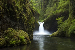 Rush Prints: Punch Bowl Waterfall, Eagle Creek, Columbia River Gorge National Scenic Area, Oregon, USA