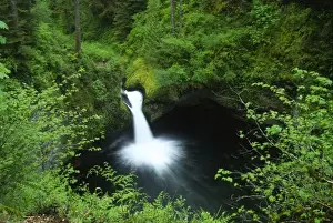 Eagle Creek Prints: Punchbowl Falls on Eagle Creek, Columbia River Gorge National Scenic Area, Oregon, US