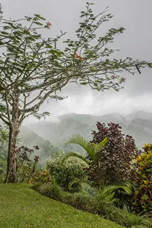 Images Dated 22nd May 2018: Puntarenas, Costa Rica