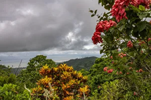 Images Dated 22nd May 2018: Puntarenas, Costa Rica