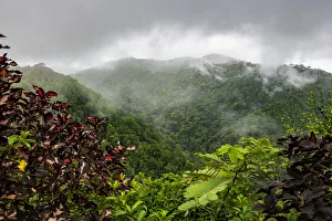Images Dated 22nd May 2018: Puntarenas, Costa Rica