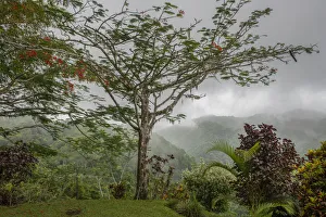 Images Dated 22nd May 2018: Puntarenas, Costa Rica