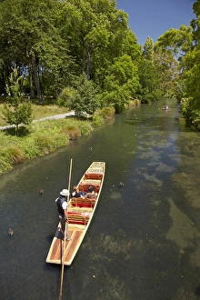 Images Dated 17th January 2012: Punting on the Avon, Christchurch, Canterbury, South Island, New Zealand