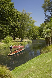 Christchurch Prints: Punting on the Avon, Christchurch, Canterbury, South Island, New Zealand