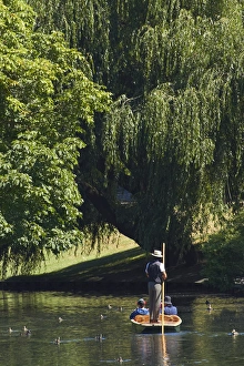 Punting on the Avon, Christchurch, Canterbury, South Island, New Zealand