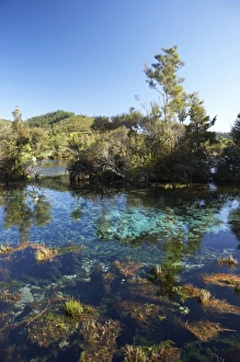 South Is Prints: Pupu Springs (Te Waikoropupu Springs )