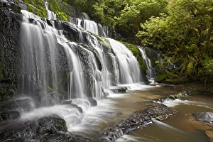 Images Dated 13th February 2012: Purakaunui Falls, Catlins, South Otago, South Island, New Zealand