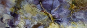 Images Dated 3rd September 2012: Purple Jasper
