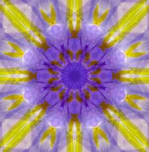 Abstract Collection: Purple and yellow kaleidoscope abstract