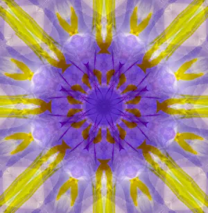 Abstract Collection: Purple and yellow kaleidoscope abstract
