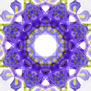 Images Dated 28th June 2021: Purple and yellow kaleidoscope abstract
