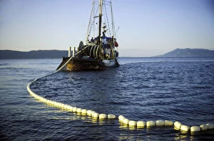 Images Dated 3rd November 2004: Purse Seining commercial fishing boat letting out the net in Pudget Sound, Washington