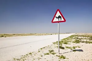 Qatar, Al Zubarah. Camel Crossing Sign-Road to Al-Zubarah NW Qatar