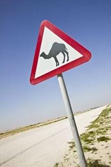 Images Dated 15th February 2007: Qatar, Al Zubarah. Camel Crossing Sign-Road to Al-Zubarah NW Qatar
