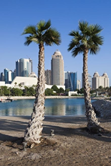 Qatar Collection: Qatar, Doha, West Bay hotels, dawn
