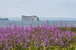 Perce Prints: Quebec, Canada. Ile Bonaventure offshore of Perc