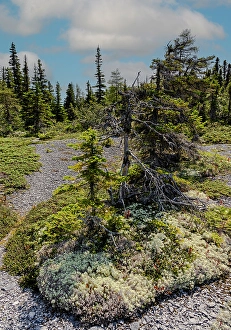 Images Dated 2024 February: Quebec, Havre-Saint-Pierre, Canada. Archipelago National Park