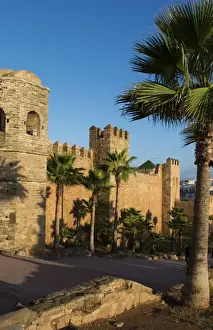 Images Dated 2028: Rabat Morocco beautiful Kasbah Udaya at sunset with walls and palm trees