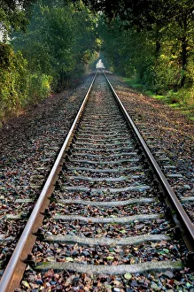 Railroad Prints: Empty railroad tracks, Tuscany, Italy