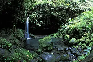 Rain forest Emerald Pool at Pittons National Park in Morne Trios, Dominica