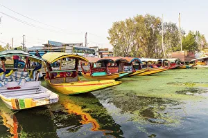 South Asia Prints: Rainawari, Srinagar, Jammu and Kashmir