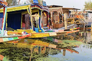 South Asia Prints: Rainawari, Srinagar, Jammu and Kashmir