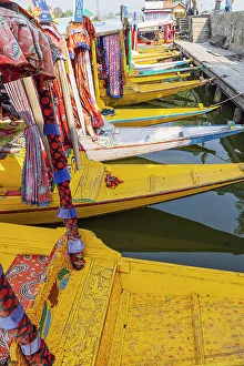 South Asia Prints: Rainawari, Srinagar, Jammu and Kashmir, India. Colorful tour boats at Lake Dal