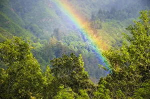 Rainbow in Andrew Molera State Park, California, USA