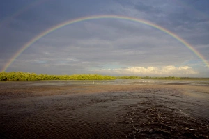 Sanibel Island Prints: Rainbow over Ding Darling, Ding Darling NWR, Florida