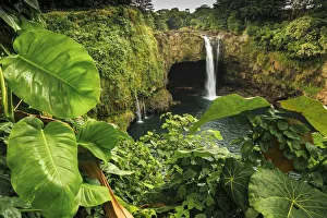 Images Dated 5th February 2016: Rainbow Falls (80 ft drop), Wailuku River State Park Hilo, Big Island, Hawaii, USA