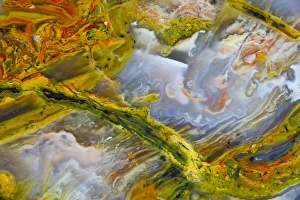 Natural Pattern Prints: Rainbow Ridge Picture Agate, Randsburg, CA
