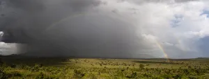 Animal Prints: A rainbow over the savannah, Tsavo, Kenya