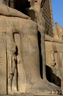 Ramesses II. Detail of his leg. New Kingdom. Temple of Luxor. Egypt
