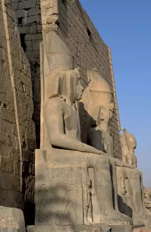 Images Dated 26th November 2003: Ramesses II. New Kingdom. Temple of Luxor. Egypt