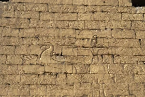 Ramesses II. Relief depicting the Pharaoh on a chariot in the Battle of Kadesh (northern Syria)
